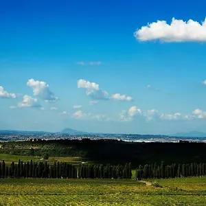 Merumalia Wine Farm stay Frascati